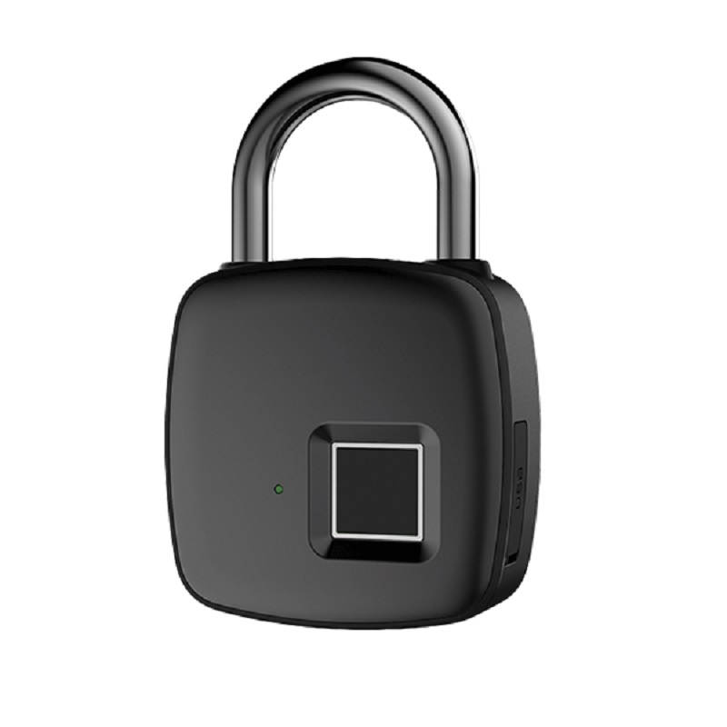 Lacat inteligent amprenta Smart TUYA Bluetooth IP65, 196004