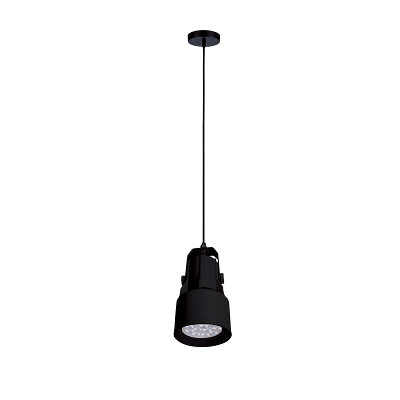 Pendul Elmark Sky 1X E27 Par30 Lumina calda (3000K) Negru 93Sky2211Pww/Bl