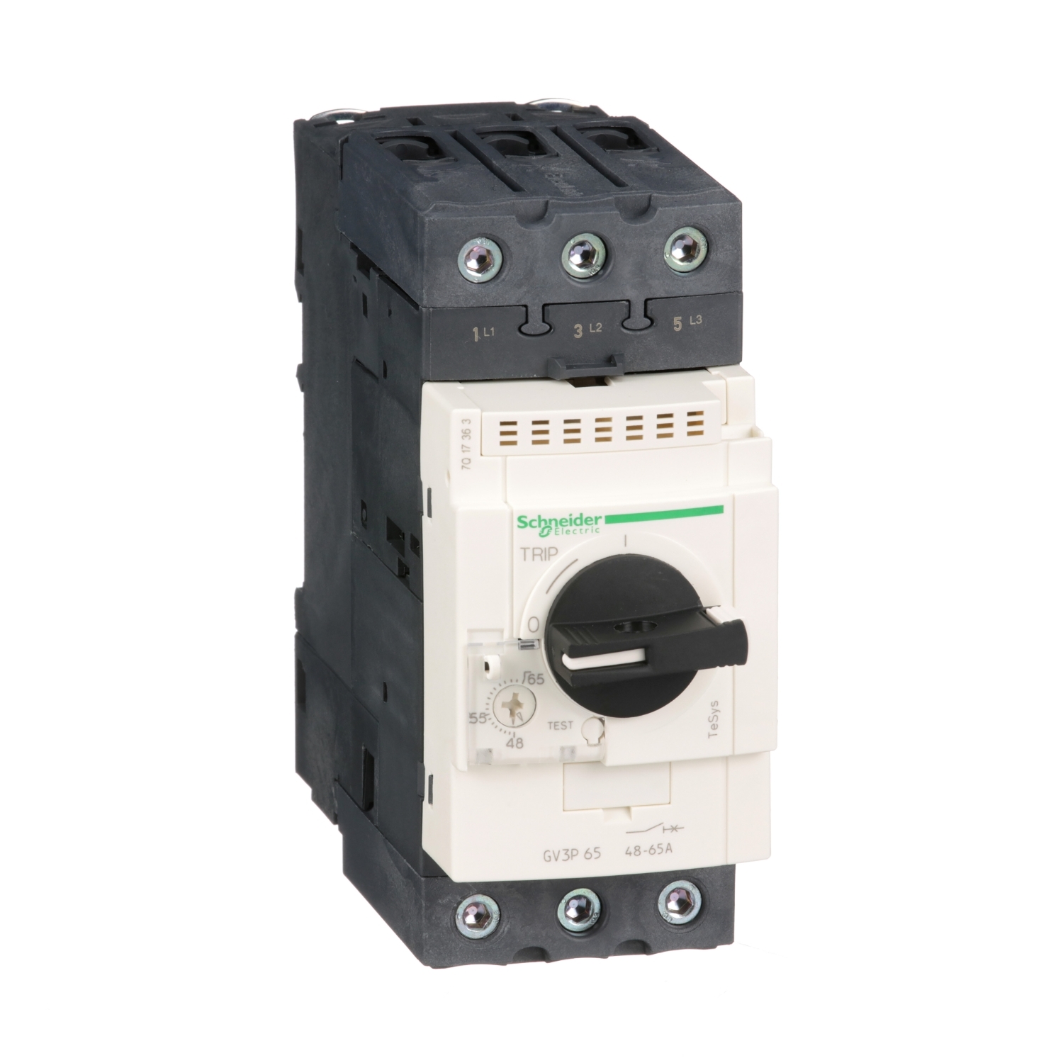 Disjunctor protectie motor Gv3P - 48…65A - Conectori BTR everlink Schneider GV3P65