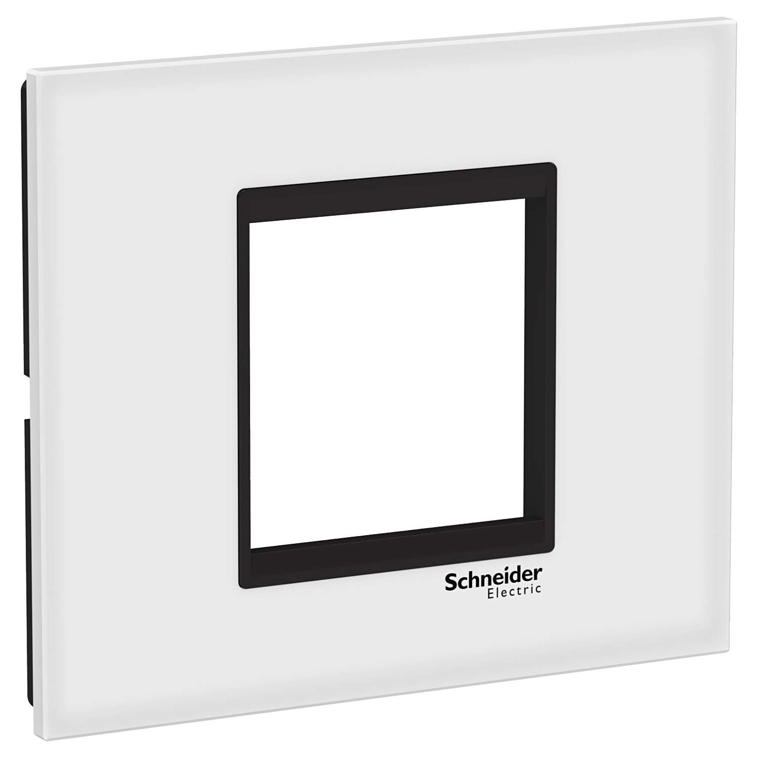 Rama ornament Schneider Easy Styl 2 module Sticla Alb/Negru LMR7962031